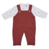 Ensemble Tee-shirt + Salopette 6m BB&CO Arc-en-ciel / Rouille